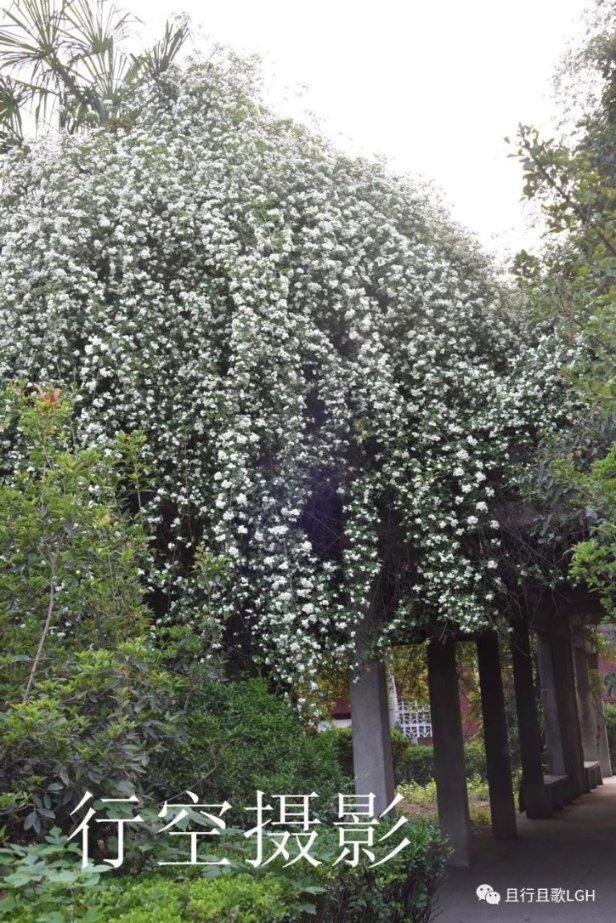 无可救药
