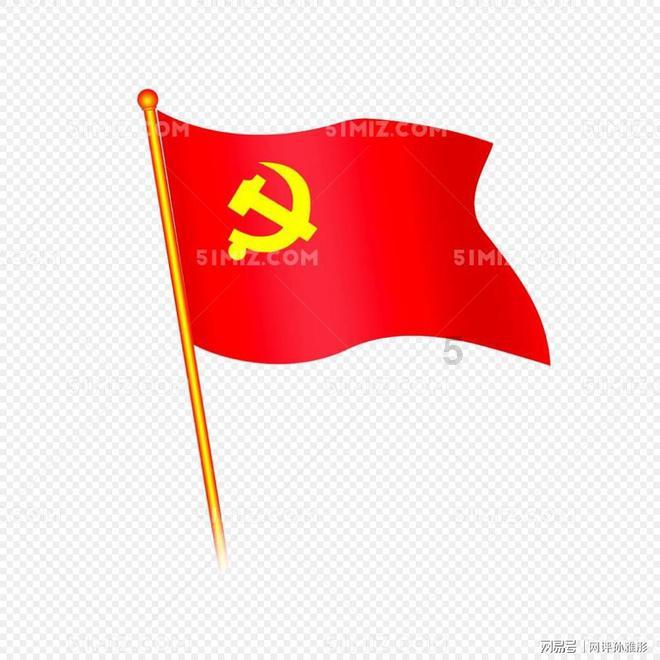 漂亮鹦鹉救援