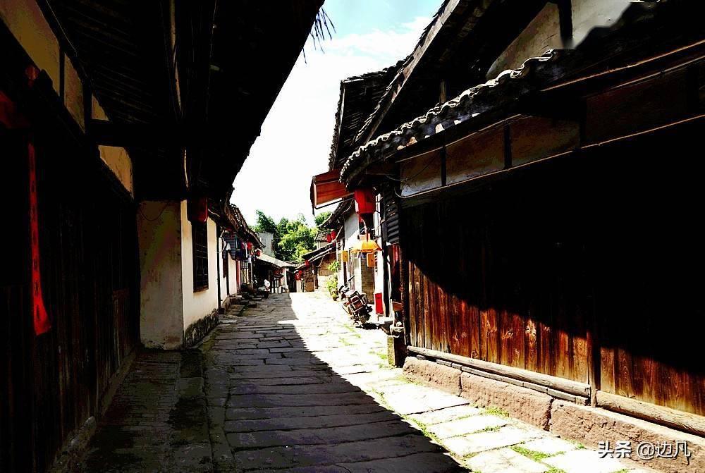 中药八种“参”，参参各不同